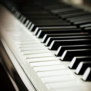 直男大鸡巴在线播放
