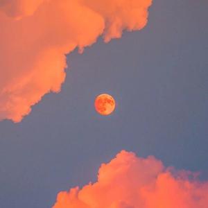 直男大鸡巴在线播放
